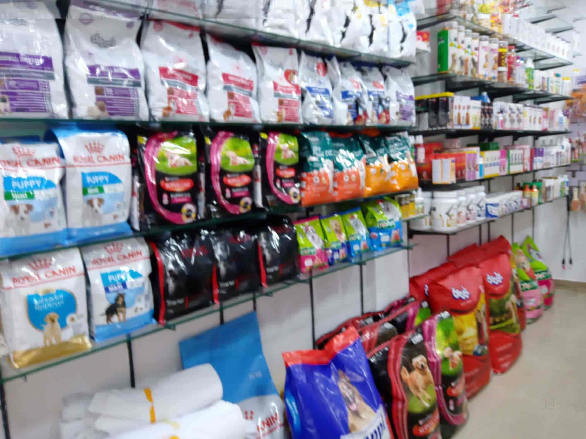 Top Pet Shops in Ernakulam Best Pet Store near me Justdial