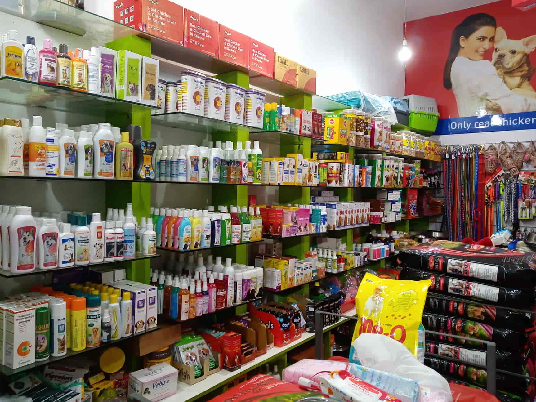 Top Pet Shops in Ernakulam Best Pet Store near me Justdial