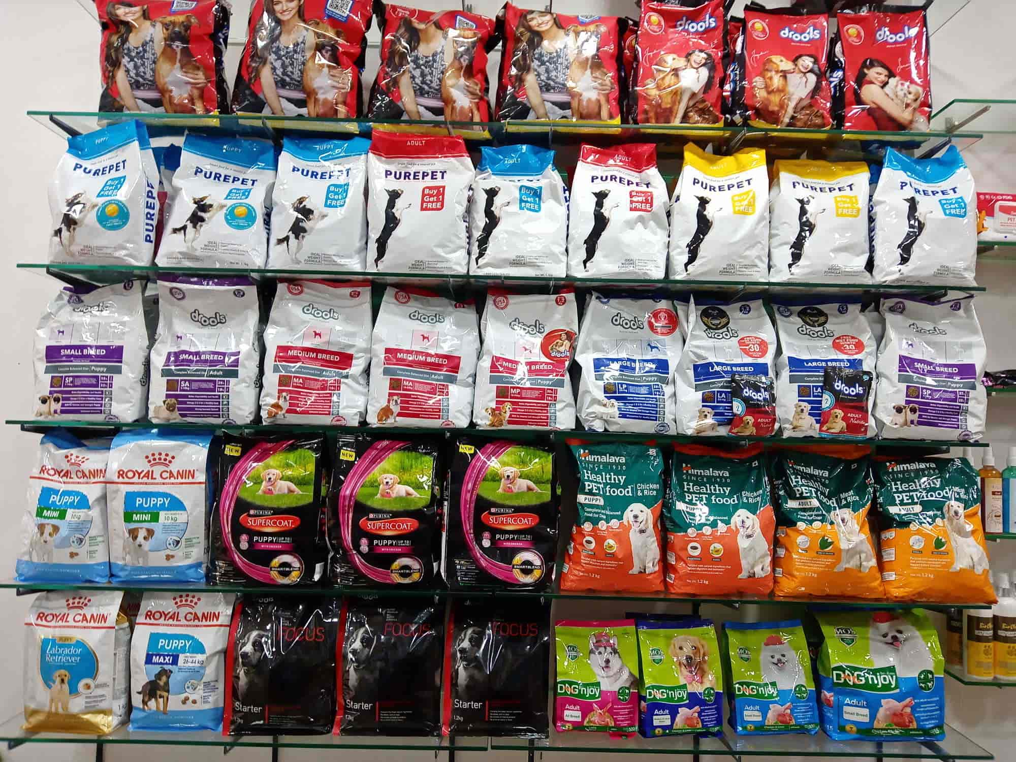 Top Pet Shops in Ernakulam Best Pet Store near me Justdial