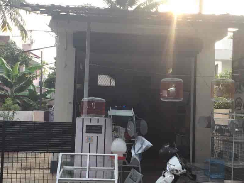 MY Pets in Vaduthala,Ernakulam Best Pet Shops in Ernakulam Justdial