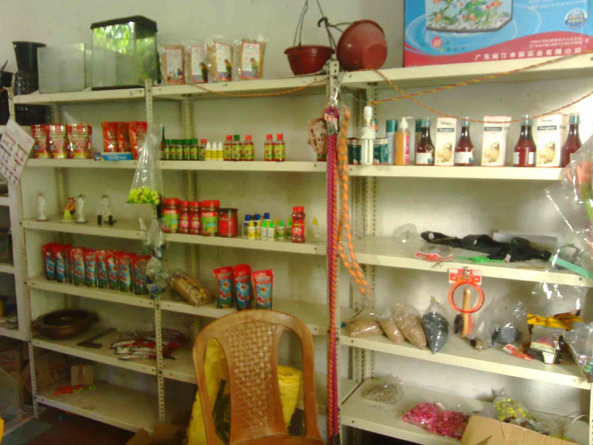 MY Pets in Vaduthala,Ernakulam Best Pet Shops in Ernakulam Justdial