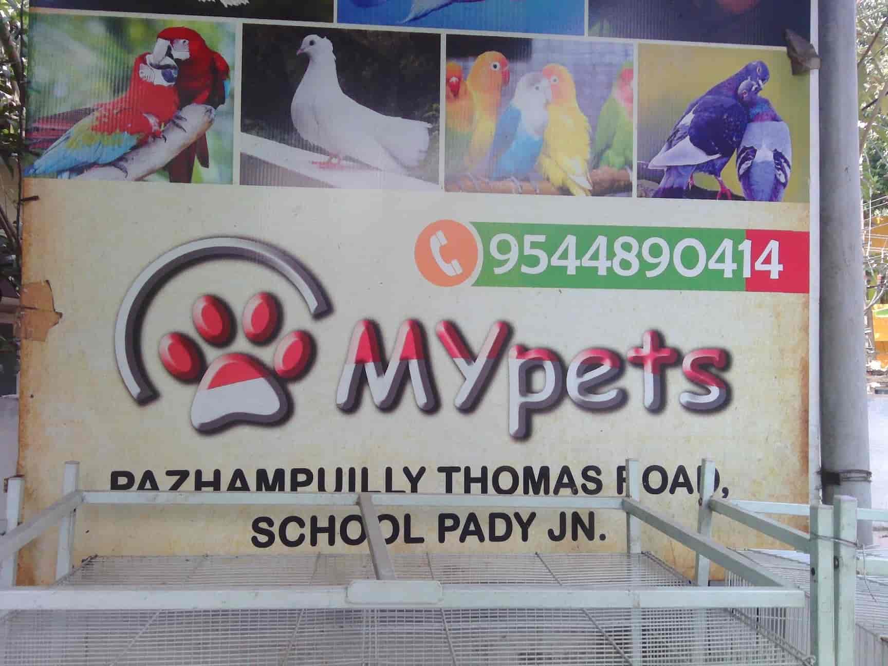 MY Pets in Vaduthala,Ernakulam Best Pet Shops in Ernakulam Justdial