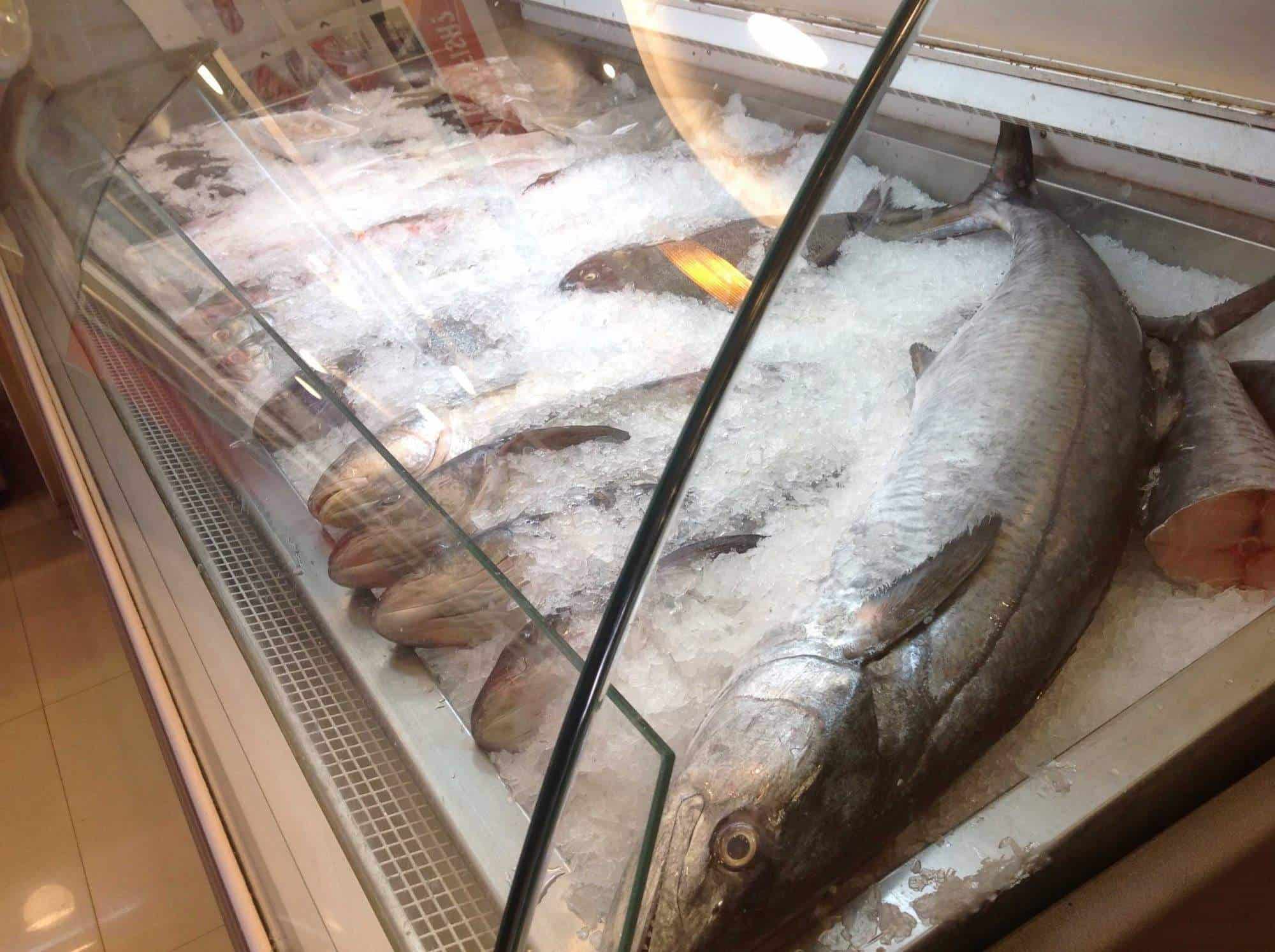 Top 10 Fish Home Delivery in Ernakulam Best Seafood Delivery Services