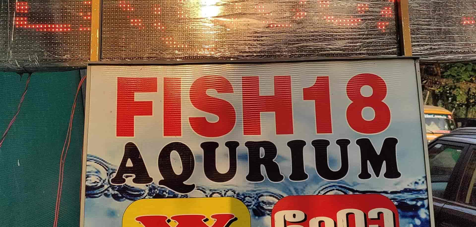 Top Aquarium Fancy Guppy Fish Dealers in Ernakulam near me Justdial