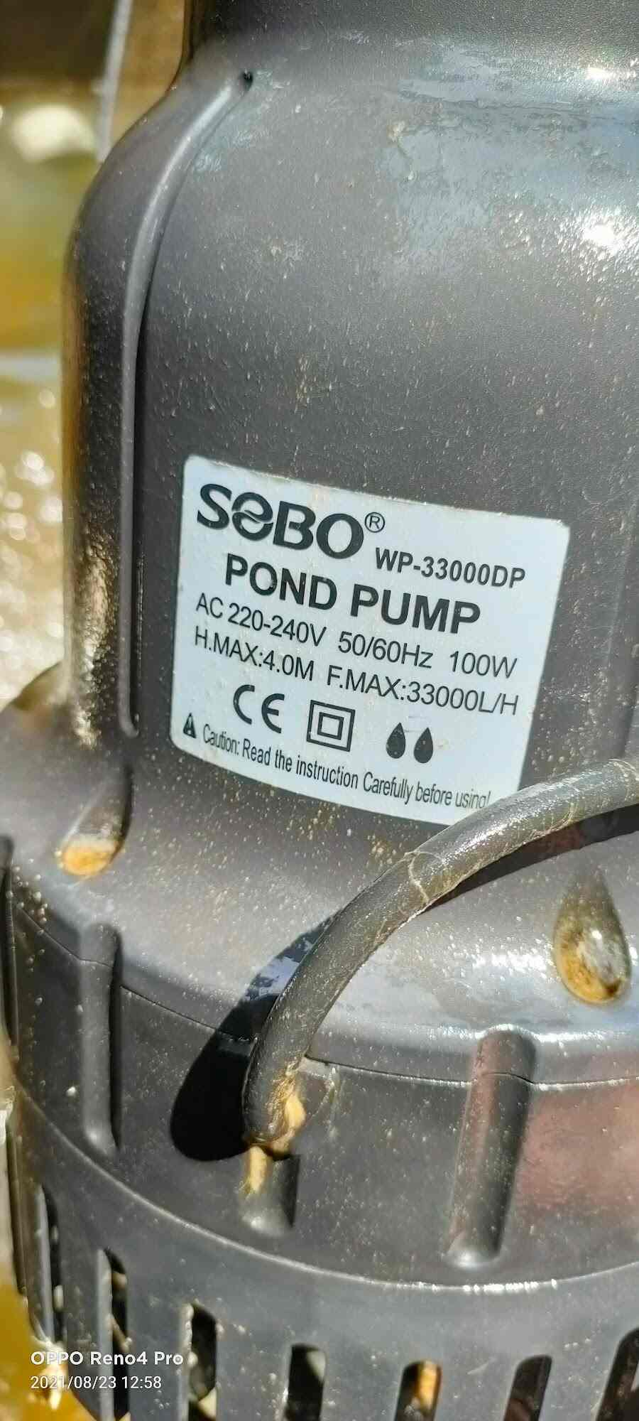 Top Farm House On Rent in Perumbavoor Best Farmhouse Rental Services