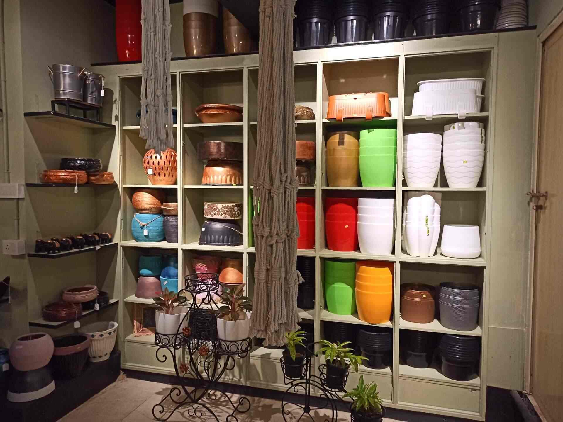 Top Ilan Plant Nurseries in Trichy Best Ilan Plant Nurseries near me Justdial