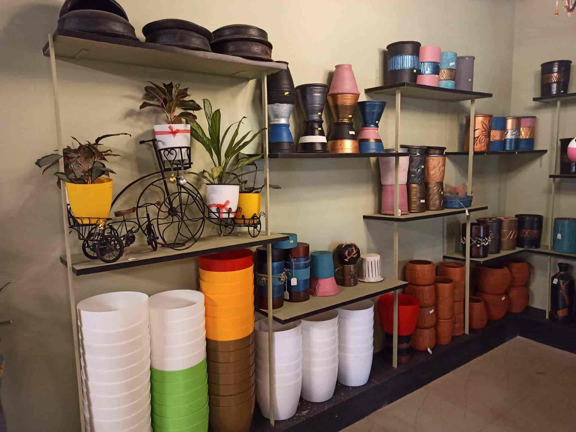 Top Ilan Plant Nurseries in Trichy Best Ilan Plant Nurseries near me Justdial