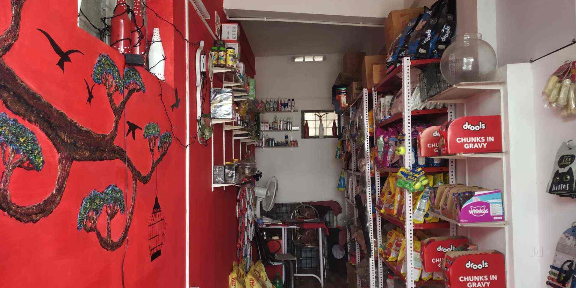 Red Box Pet Store in Aluva,Ernakulam Best Aquariums in Ernakulam