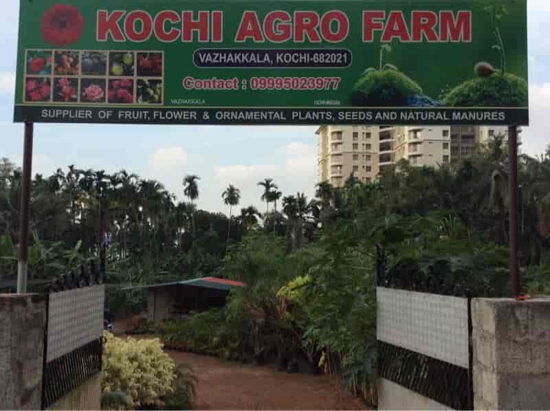 Catalogue Kochi Agro Farm in Thrikkakara , Ernakulam Justdial