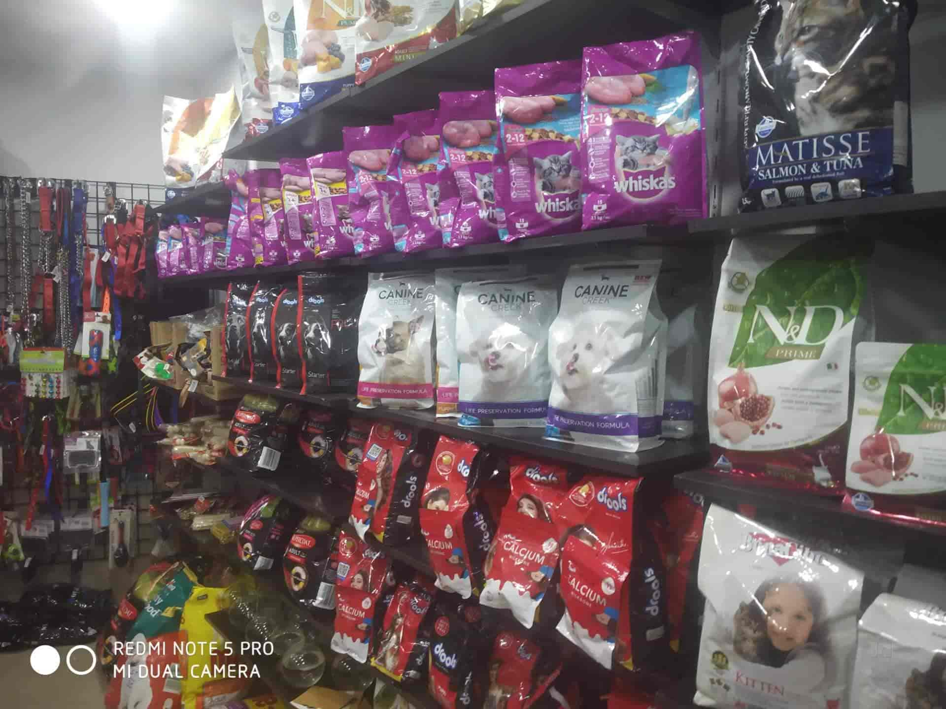 Top Pet Shops in Ernakulam Best Pet Store near me Justdial