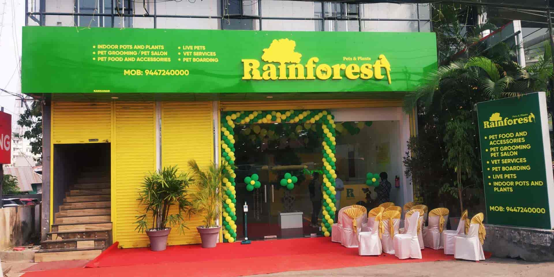 Top Pet Shops in Ernakulam Best Pet Store near me Justdial