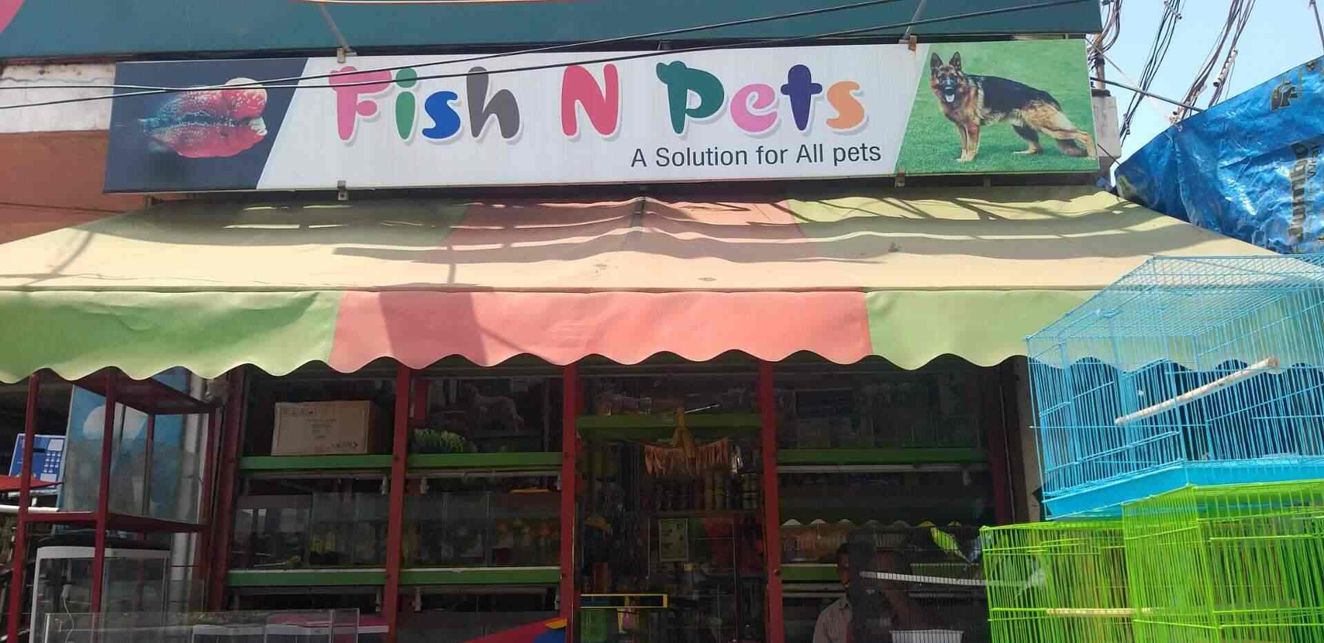 Fish N Pets