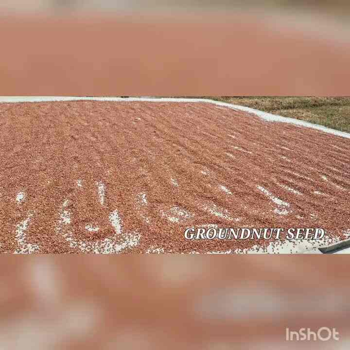 Top Edible Oil Distributors in Mayiladuthurai एडिबले आयल