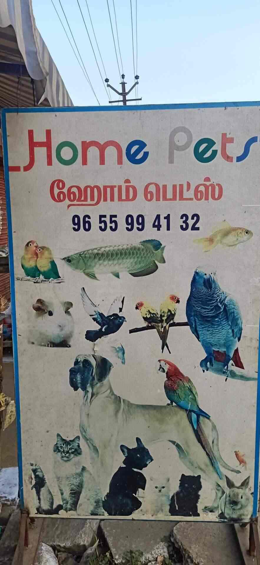 Home Pets, Surampatti Pet Shops in Erode Justdial