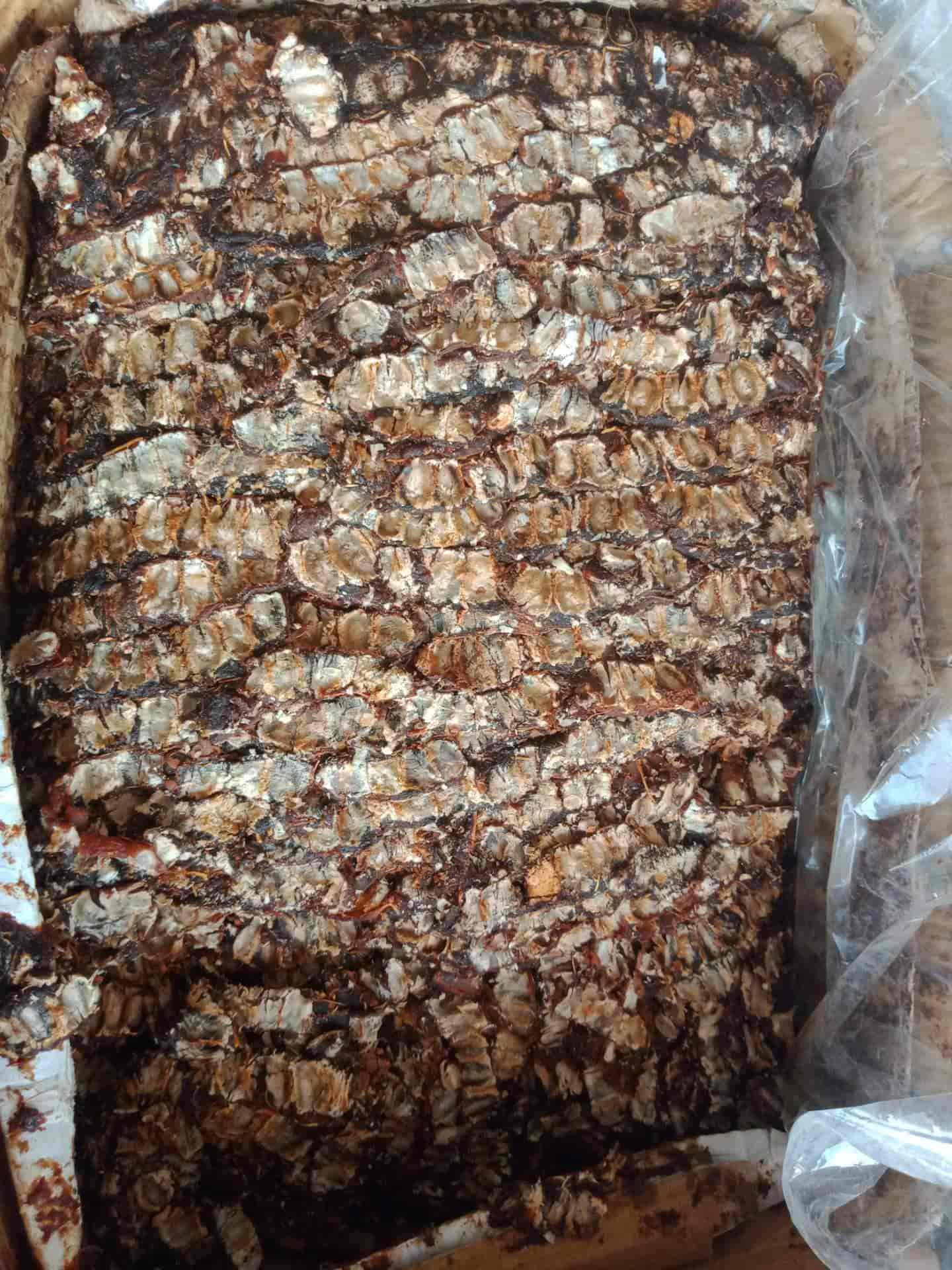 Top Fruit Home Delivery Services in Chennimalai, Erode near me Justdial