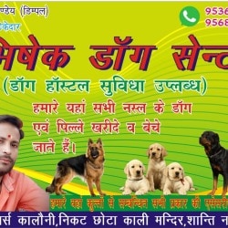 Abhishek Dog Centre in Etah HO Etah Best Pet Shops For Dog in