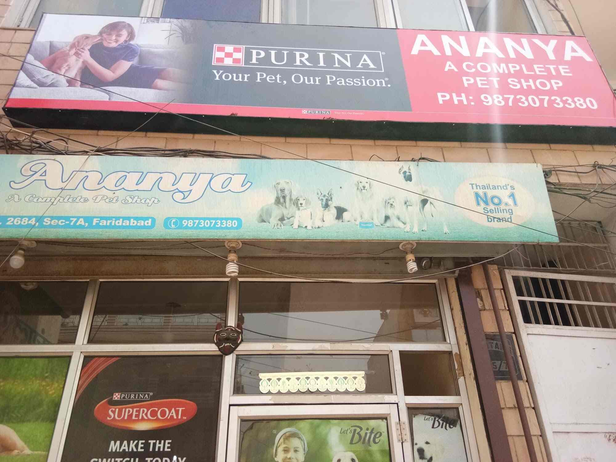 Ananya Pet Shop in Faridabad Sector 7,Delhi Best Aquarium Accessory