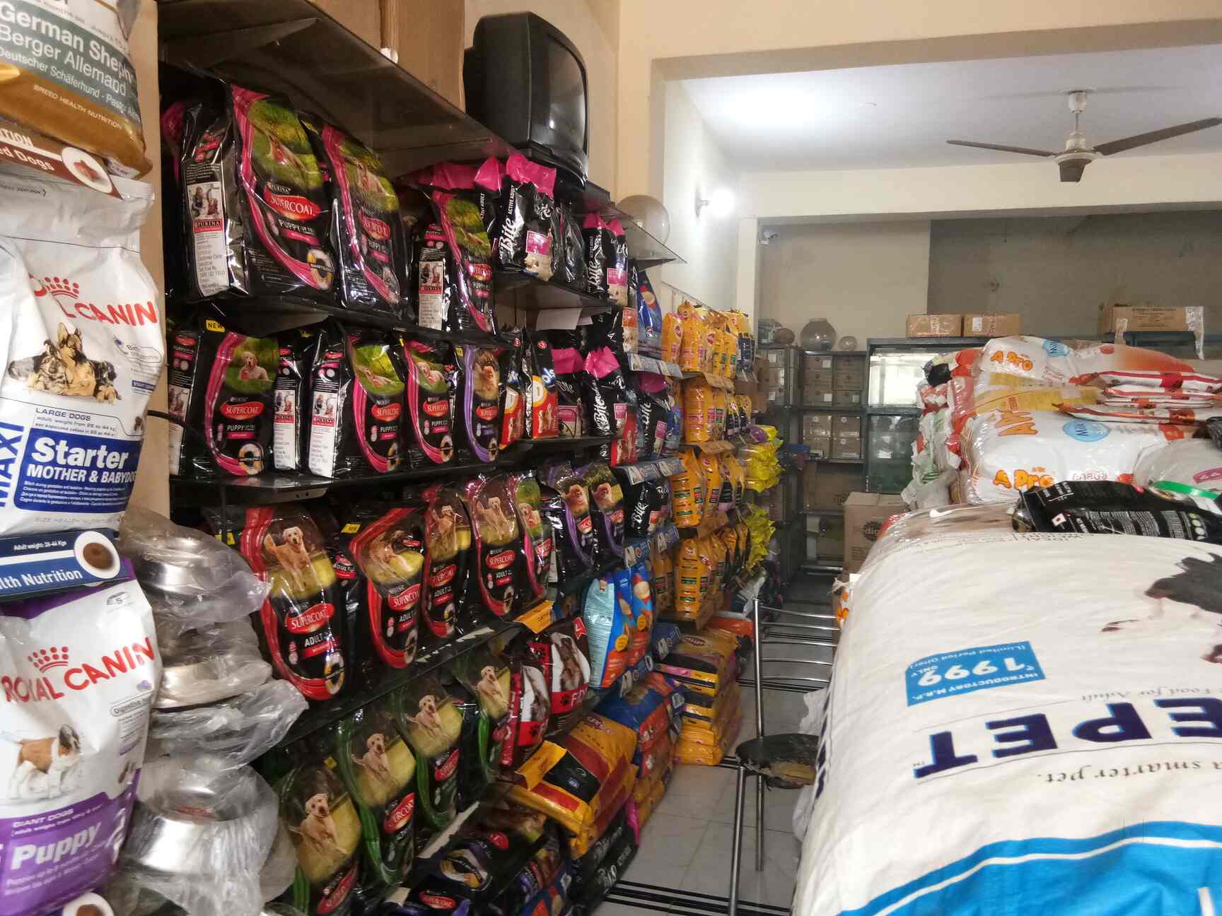 Ananya Pet Shop in Faridabad Sector 7,Delhi Best Aquarium Accessory