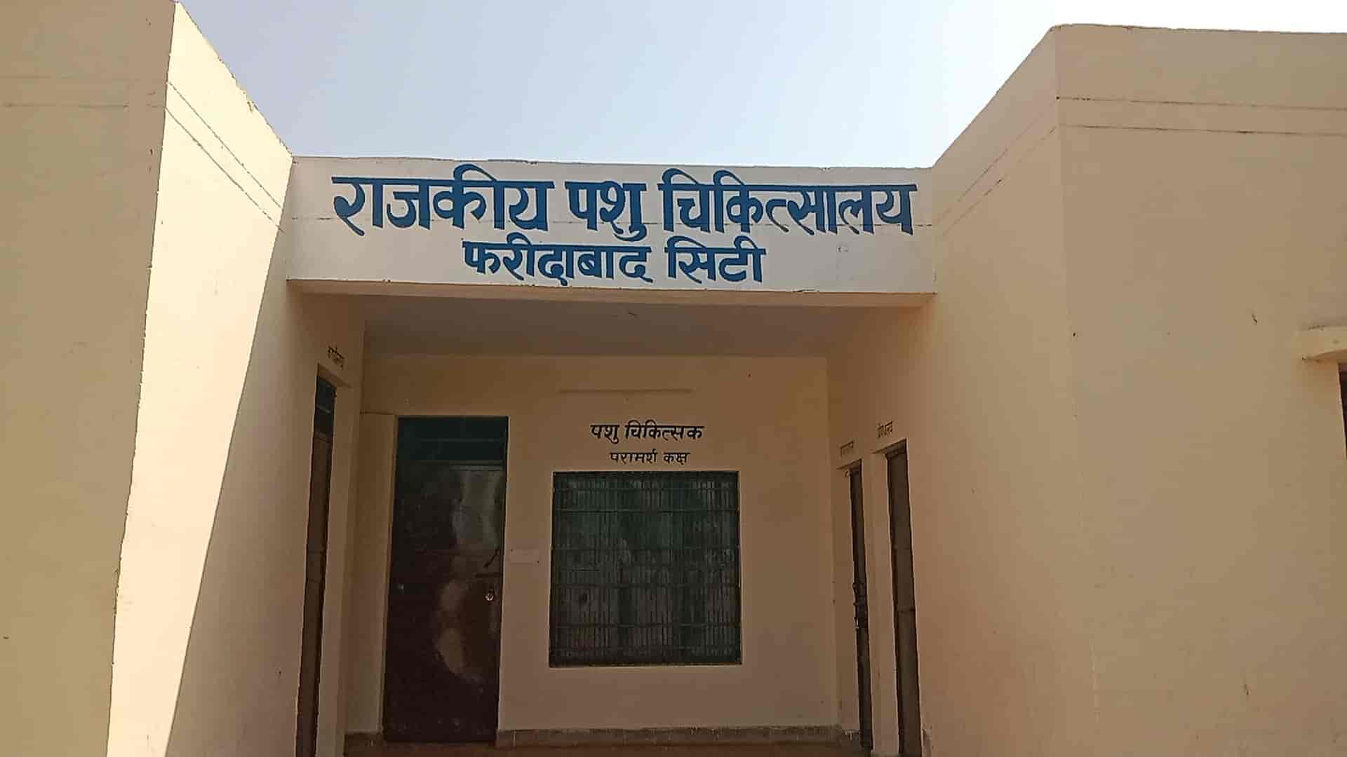 Top Public Veterinary Hospitals in Noida Sector 94 Best Government