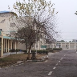 National Institute Of Animal Welfare in Ballabhgarh Faridabad - Best Government Organisations in Delhi - Justdial National Institute Of Animal Welfare in Ballabhgarh Faridabad - Best Government Organisations in Delhi - Justdial