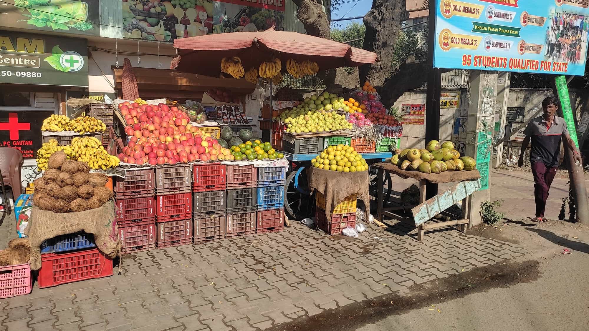 Top Fruit Wholesalers in Mandigobindgarh, Fatehgarh Sahib - Best Fruit Suppliers - Justdial