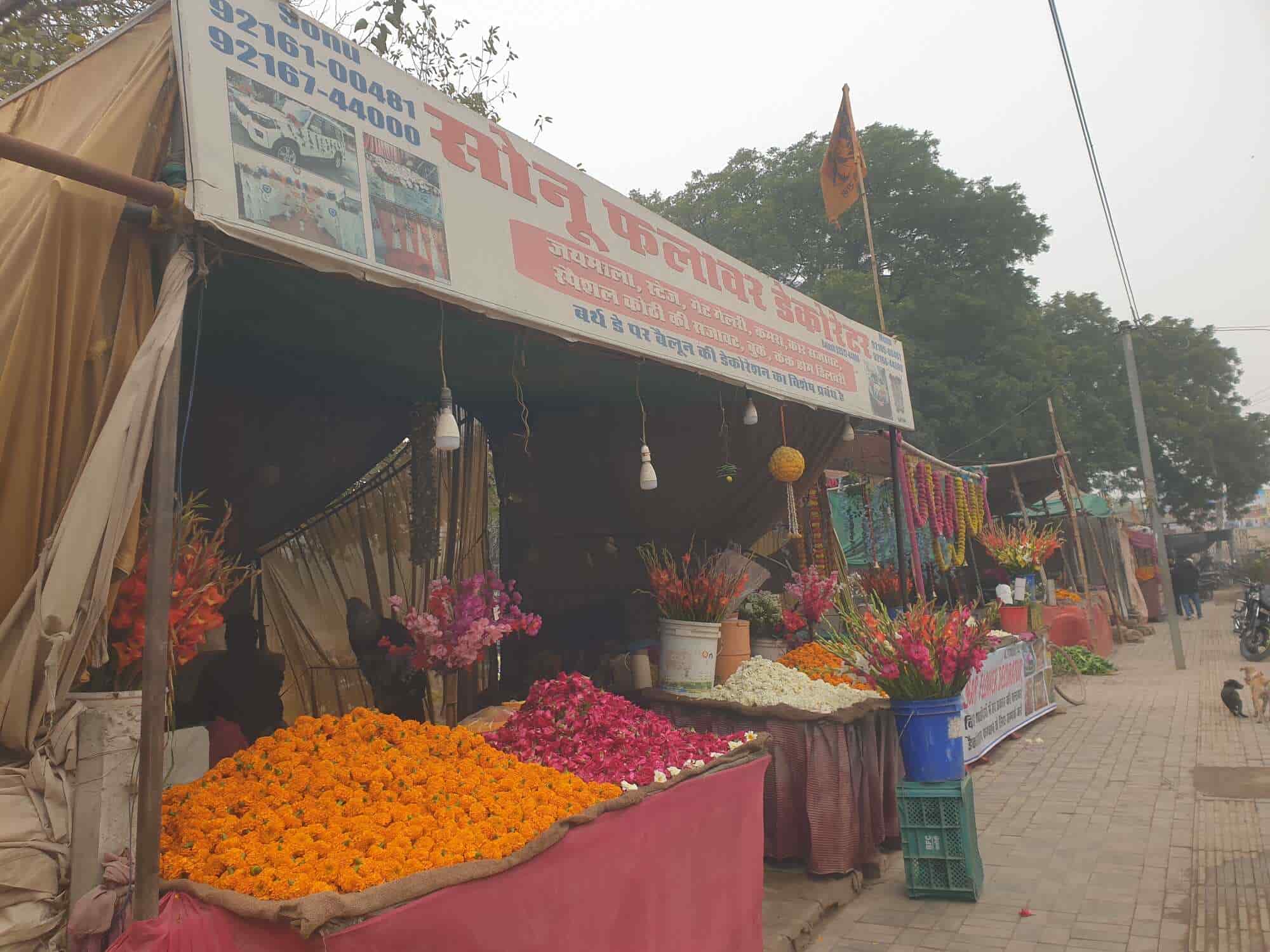 Wedding Car Flower Decorators in Pilibanga, Hanumangarh - Stylish Floral  Designs