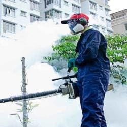 Professional extermination