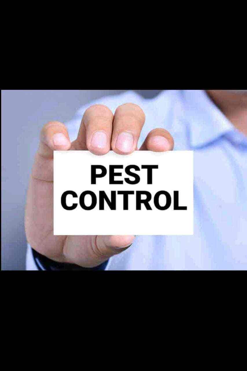 Effective Pest Control Services(Iso Certified Company), Gandhinagar