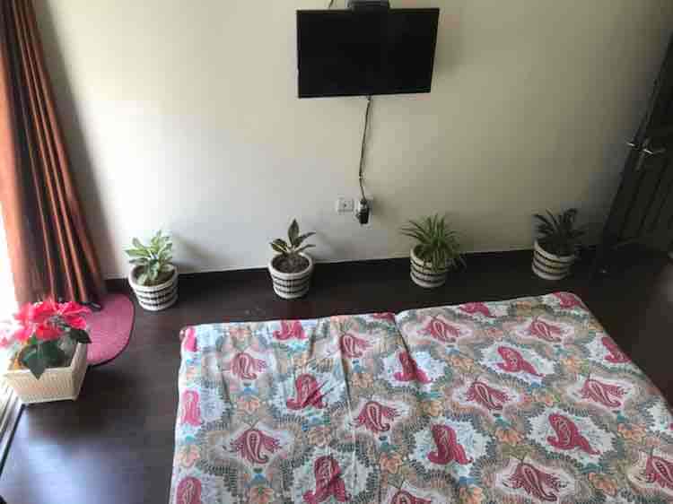 Top Plant Nurseries near Saini EnclaveAnand Vihar,Delhi Best