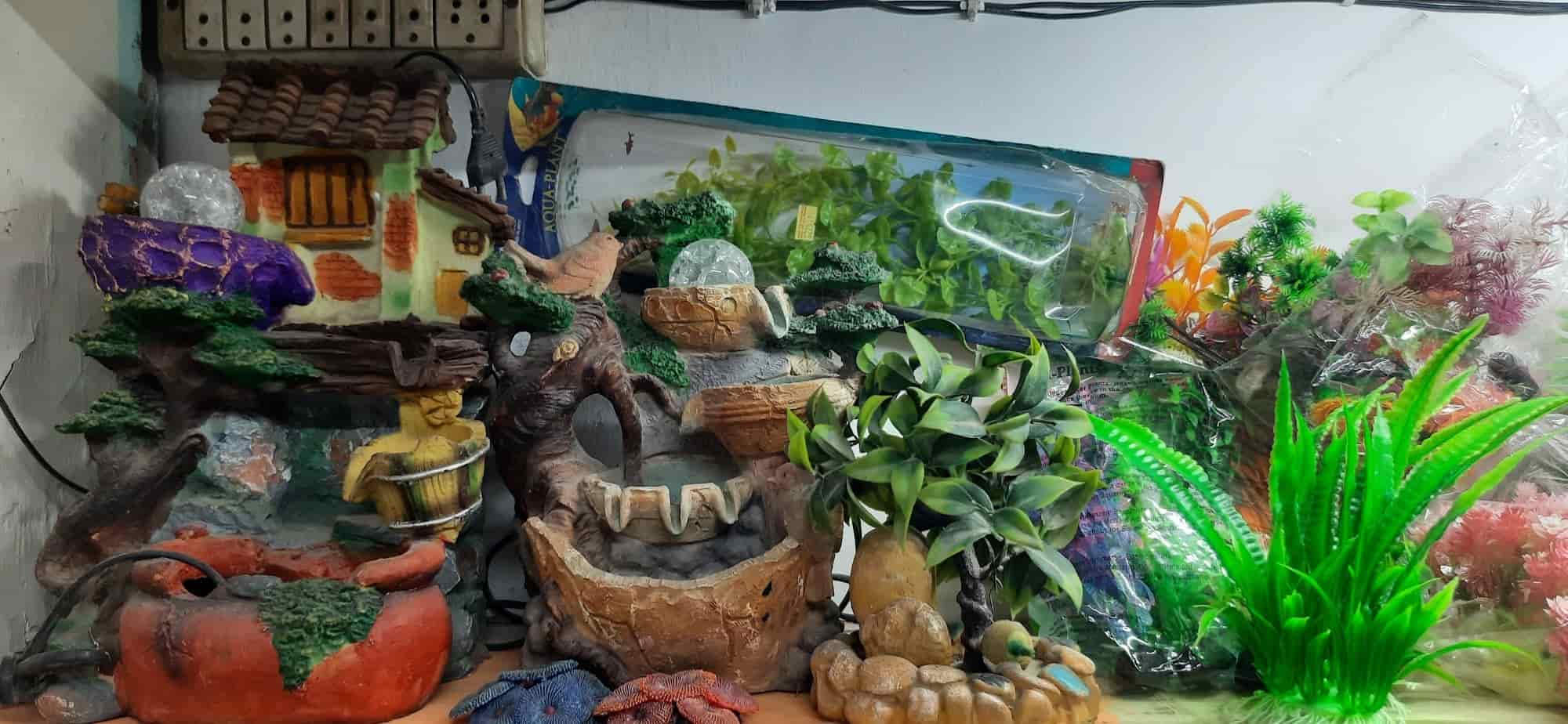 Jal Sansar Aquarium in Vasundhara Sector 13,Delhi Best Aquarium