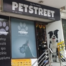 Pet Street in Niti Khand 1 indirapuram Delhi Best Pet Accessory