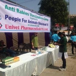 Top 100 Animal Welfare Organisations In Gurgaon Best Ngos For Animal Welfare Delhi Justdial