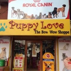 Puppy store love shop