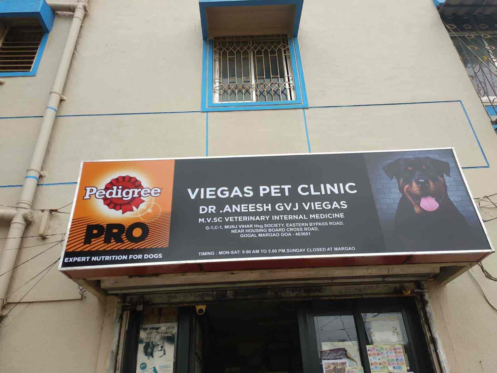 Top Pet Clinics in Margao, Goa Best Veterinary Clinic near me Justdial
