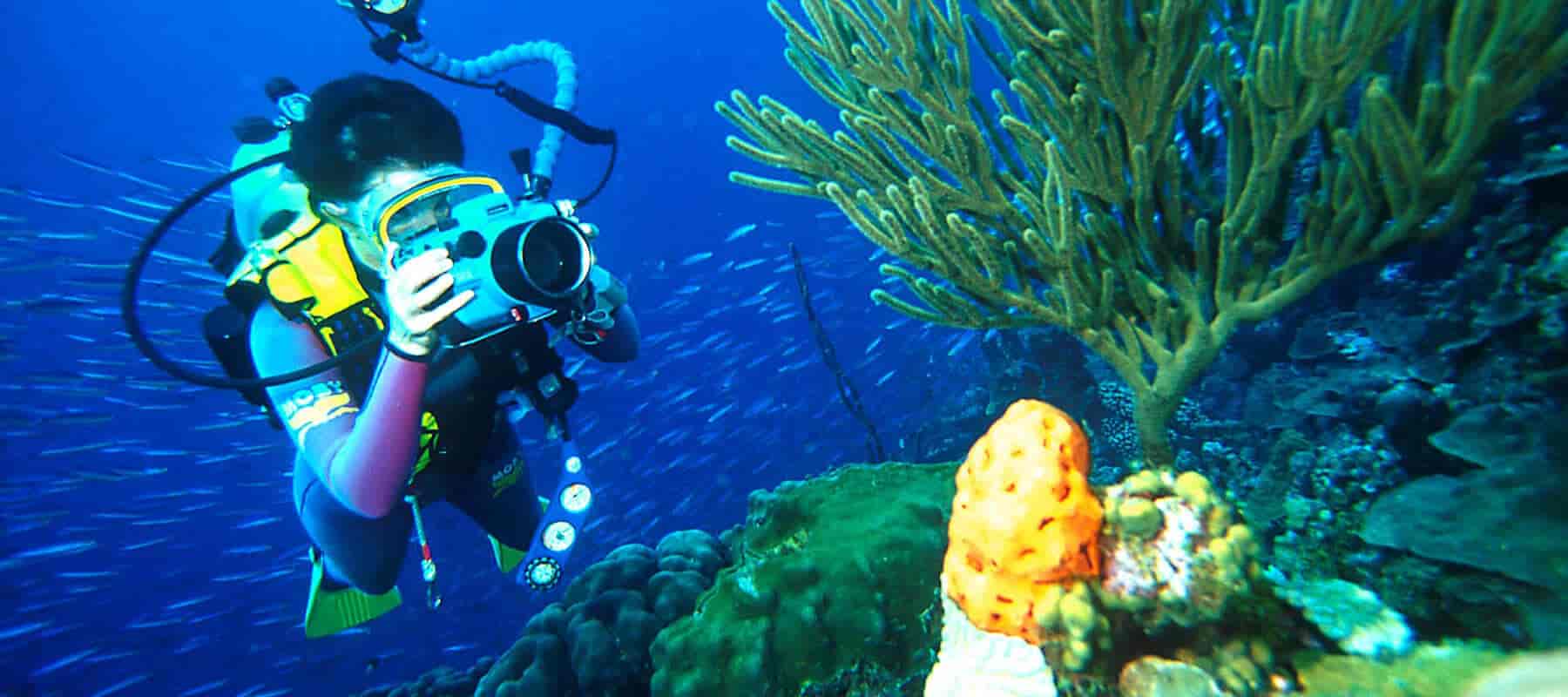 Top Scuba Diving Services in Coorg - Best Scuba Diving near me - Justdial