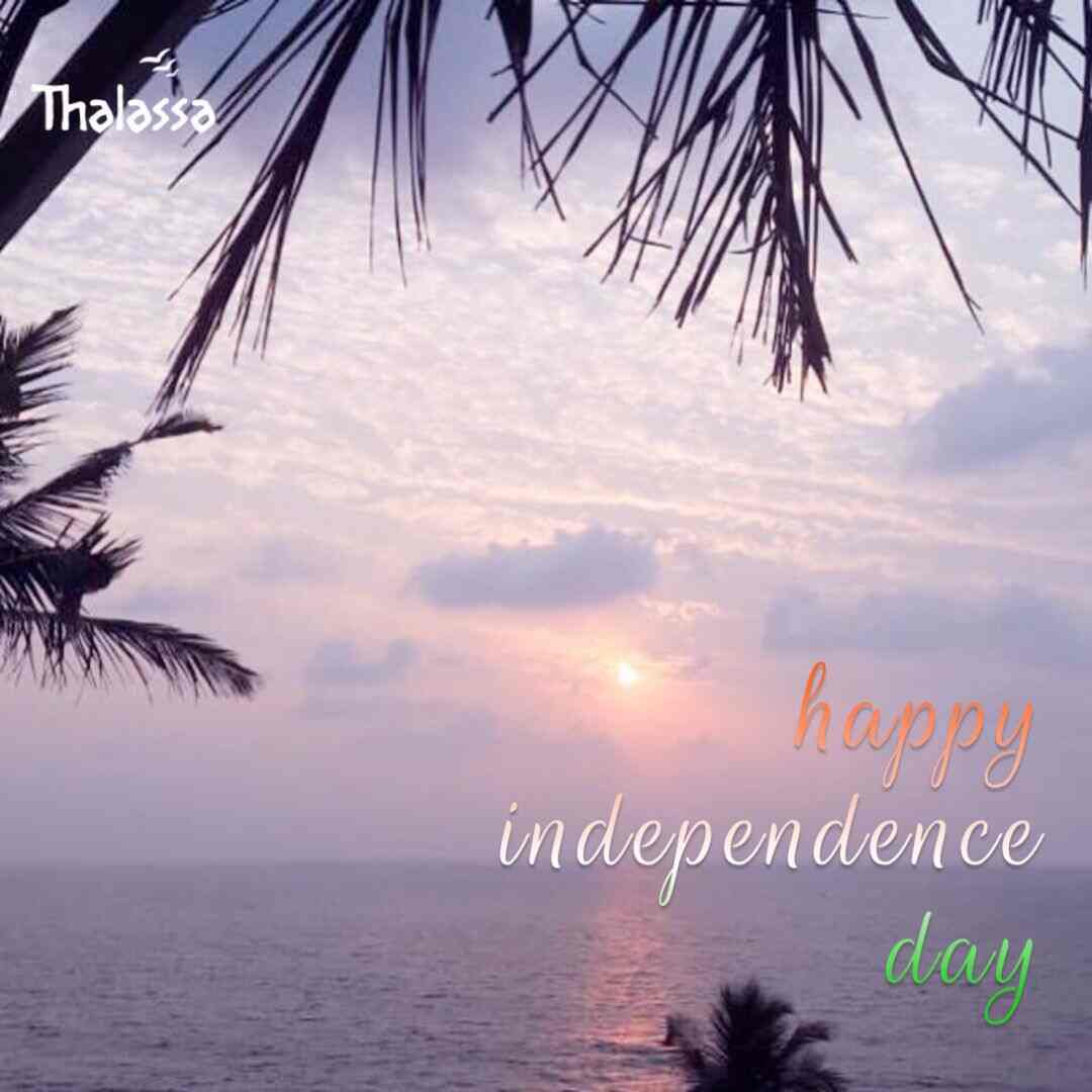 Thalassa Photos Siolim Goa Pictures Images Gallery Justdial