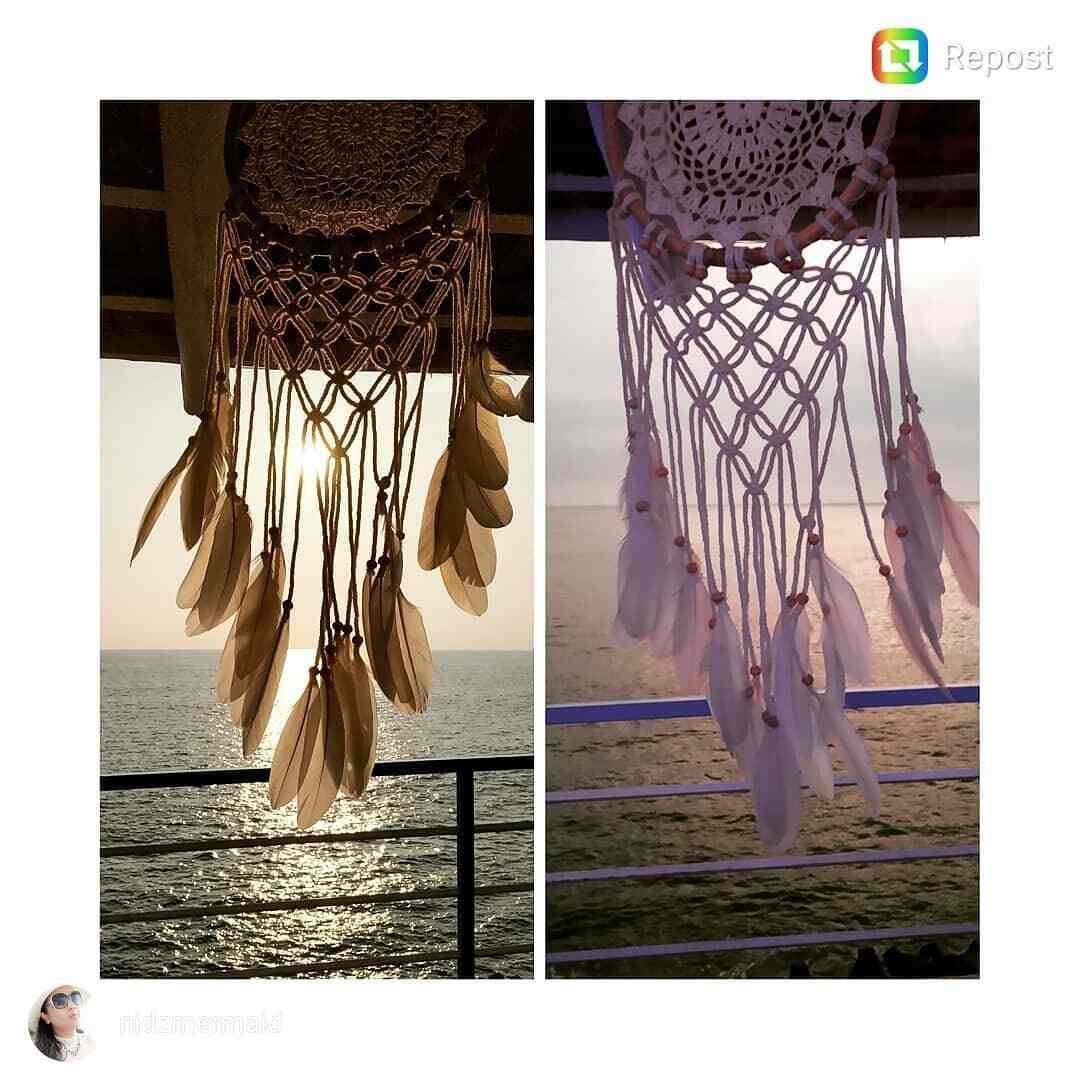 Purple Martini in Anjuna,Goa Book a Table Best Restaurants in Goa Justdial