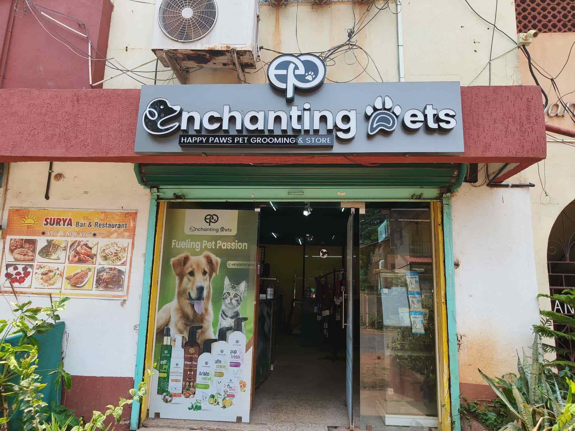 Top Pet Grooming Services in Bambolim Best Pet Spa Goa Justdial