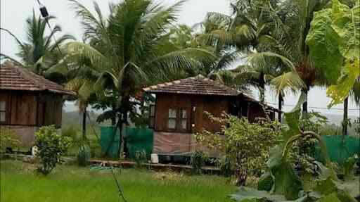 Top Farm House In Dodamarg Road Assonora Goa Justdial Unlock various types of plants, vegetables, fruits, and animals. dodamarg road assonora goa justdial