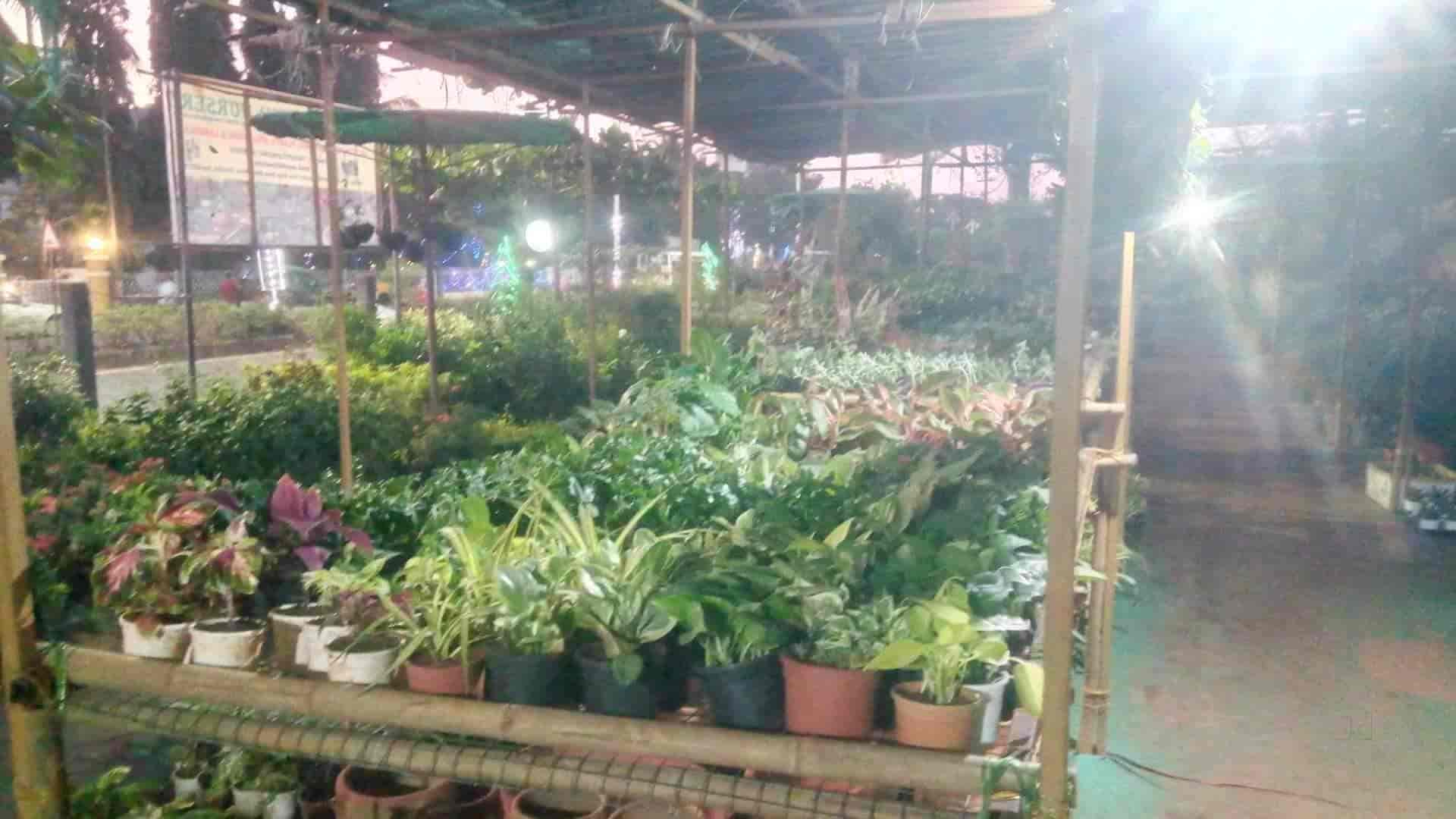 Sujay & Aditya Nursery in Chicalim,Goa Best Nursery Plants