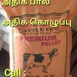 Saarathi Animals FEED in Gobichettipalayam South, Gobichettipalayam Saarathi Animals FEED in Gobichettipalayam South, Gobichettipalayam