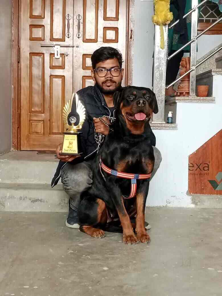 Saurabh dog kennel top