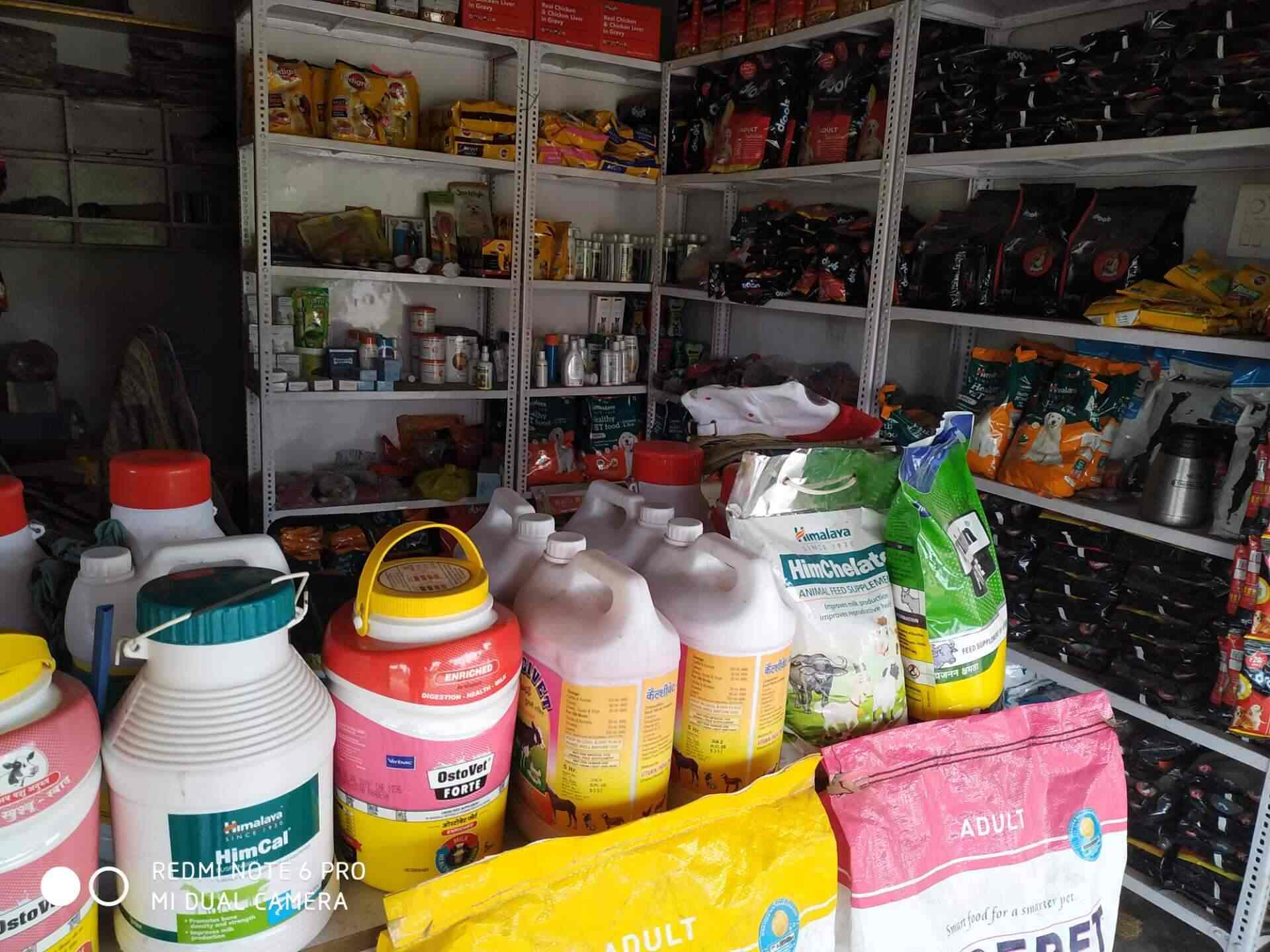 Top Pet Grooming Services in Gorakhpur Best Pet Spa near me Justdial