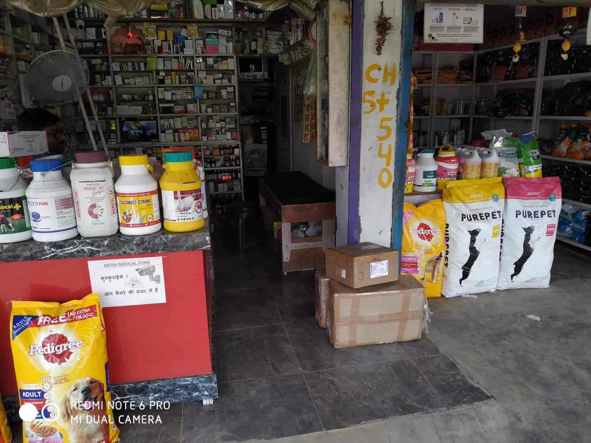 Top Pet Grooming Services in Gorakhpur Best Pet Spa near me Justdial