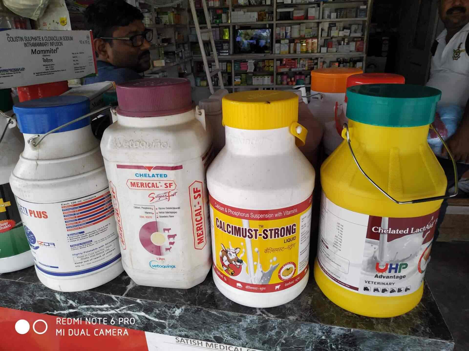 Top Pet Grooming Services in Gorakhpur Best Pet Spa near me Justdial