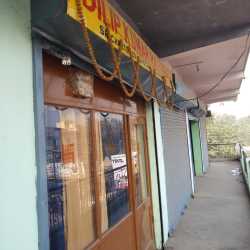 Dilip Kumar Rastogi & Co.