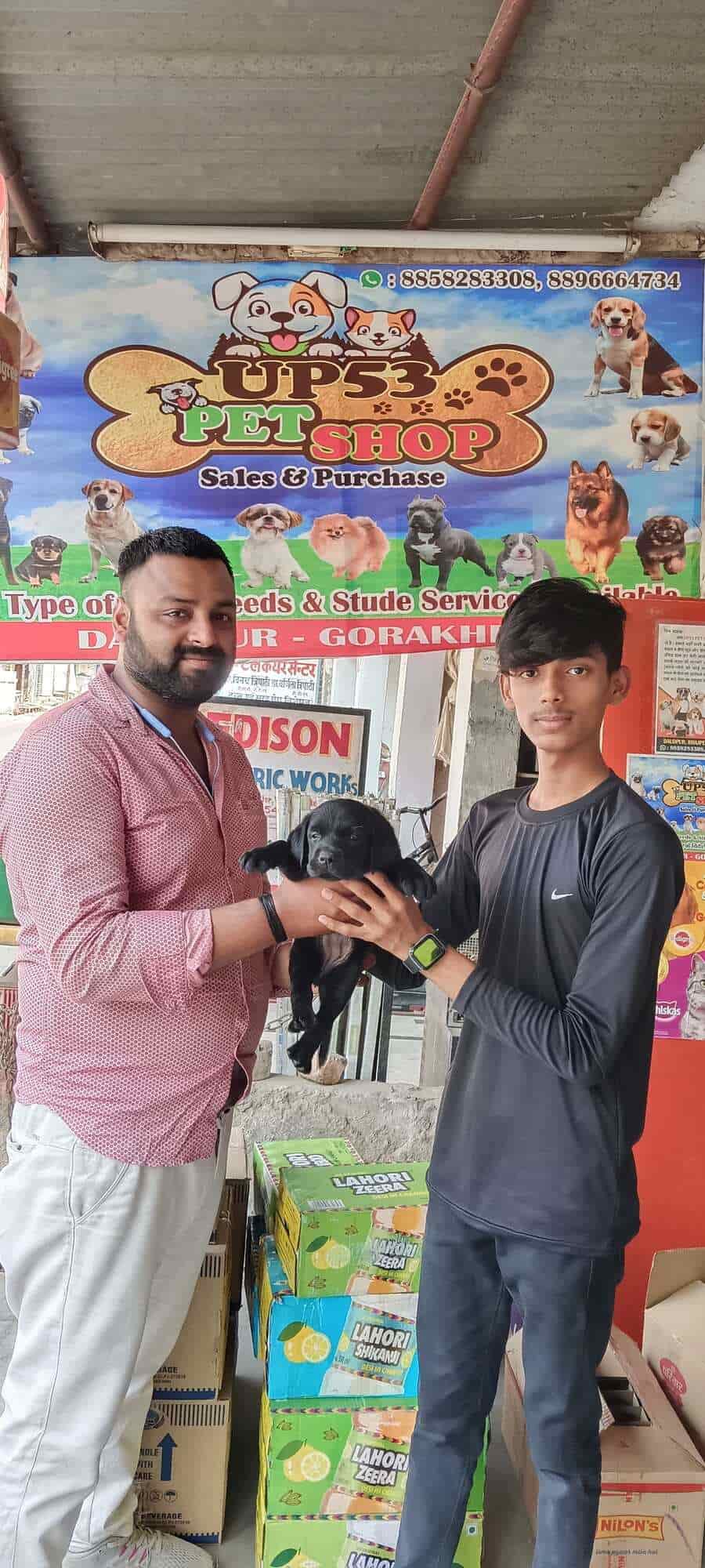 Top Pet Shops in Gorakhpur Best Pet Store near me Justdial