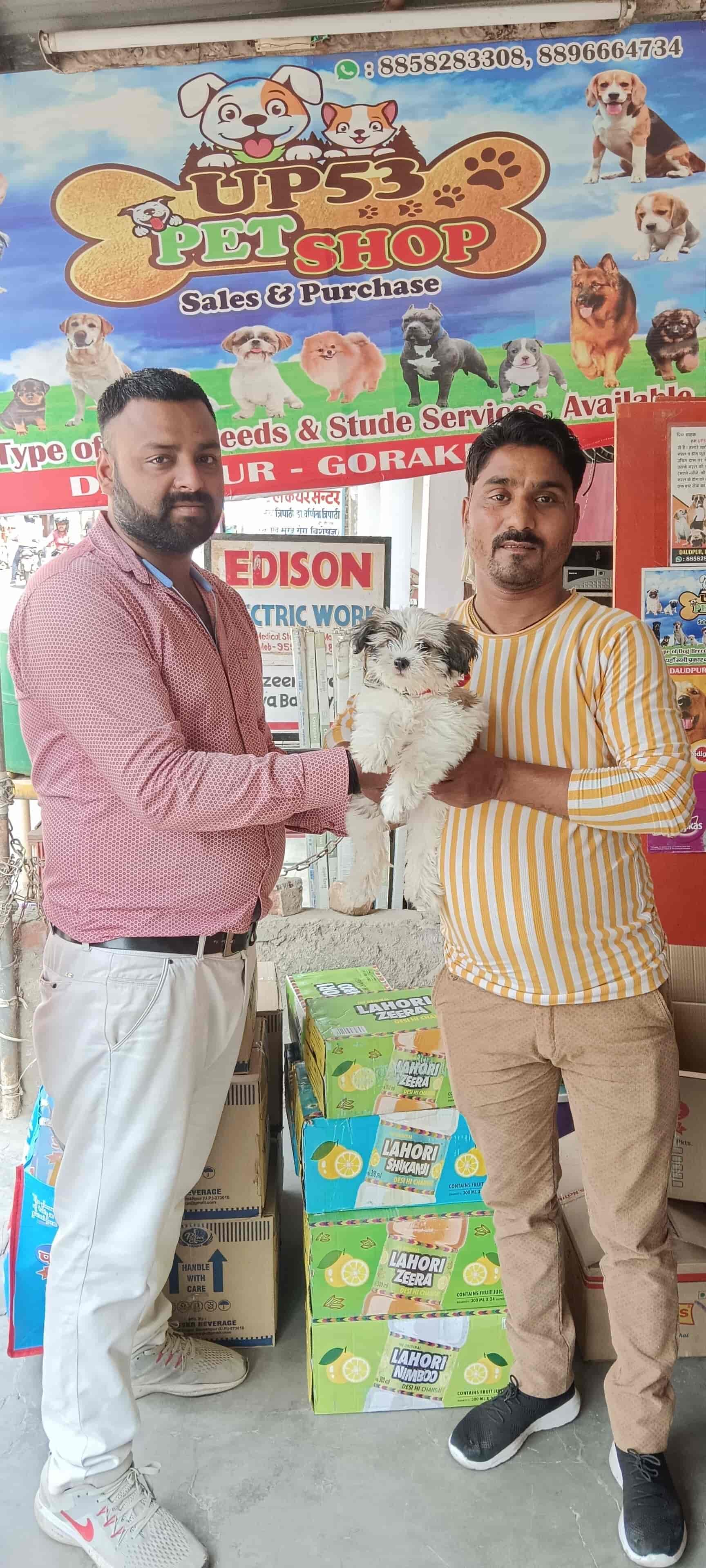 Top Pet Shops in Gorakhpur Best Pet Store near me Justdial