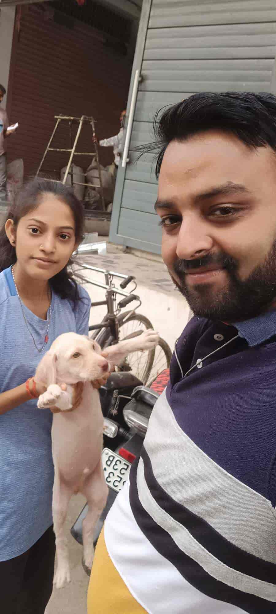 Top Pet Shops in Gorakhpur Best Pet Store near me Justdial