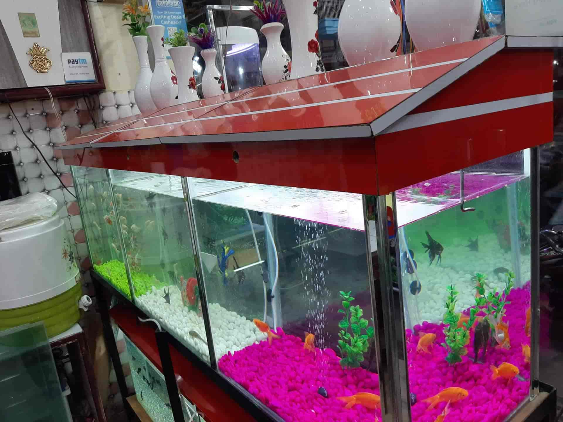 Fish tank online dealers near me
